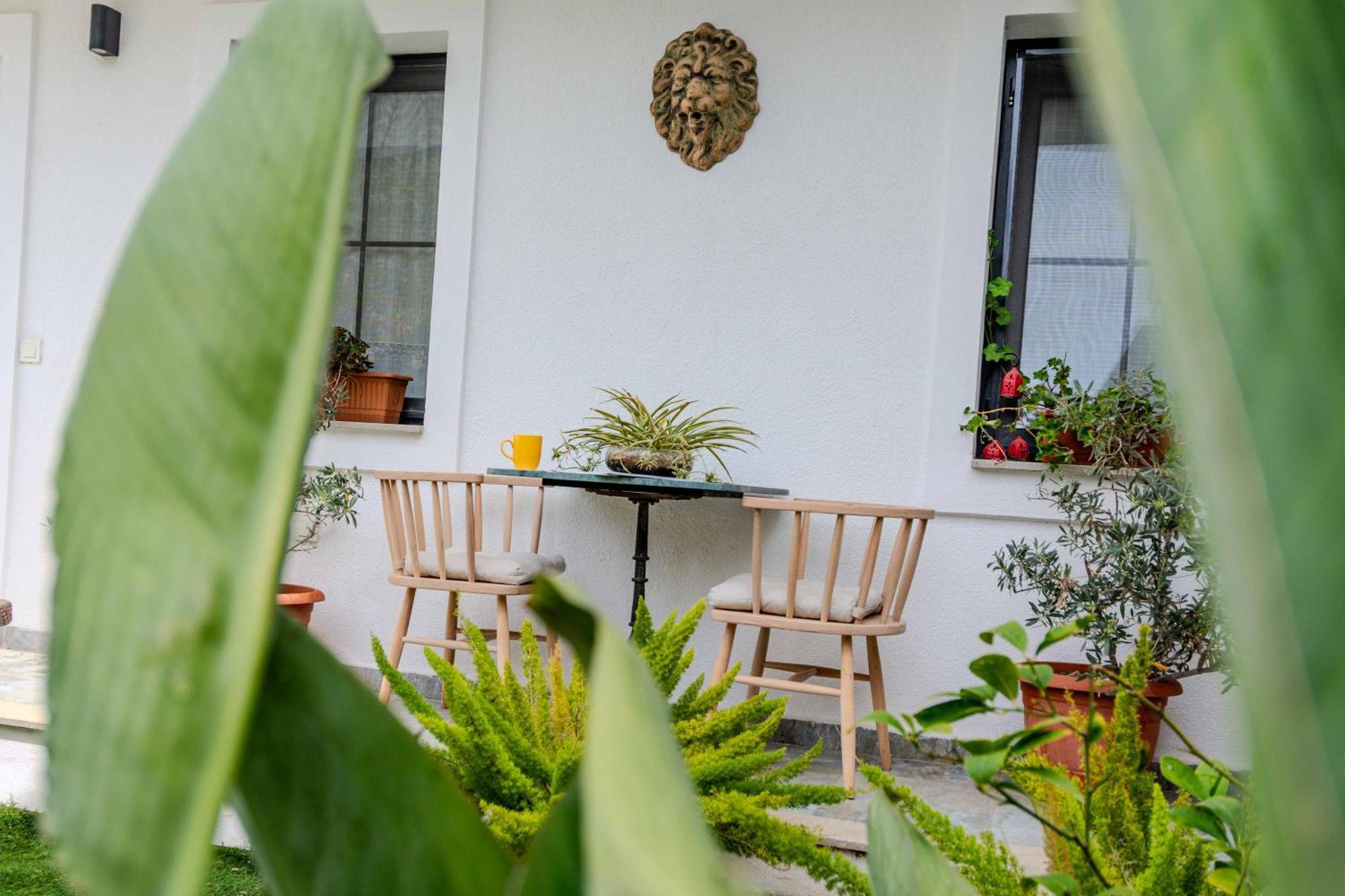 Arden'S House Bed & Breakfast Bodrum Luaran gambar